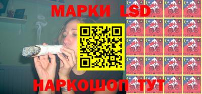 индика Аргун