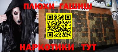 индика Аргун