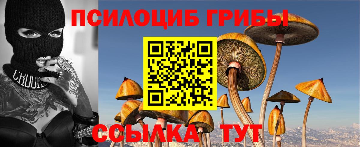 Псилоцибиновые грибы Psilocybe  Вход с VPN  Богородицк 